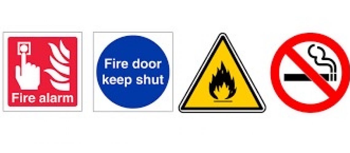 97959320-E307-47D1-AB00-7840B30A5675_4_5005_c